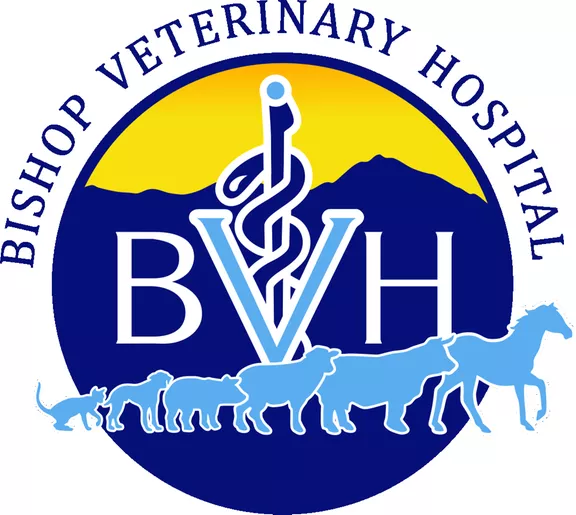 Bishop Veterinary Hospital - Ridgecrest, California, Ridgecrest